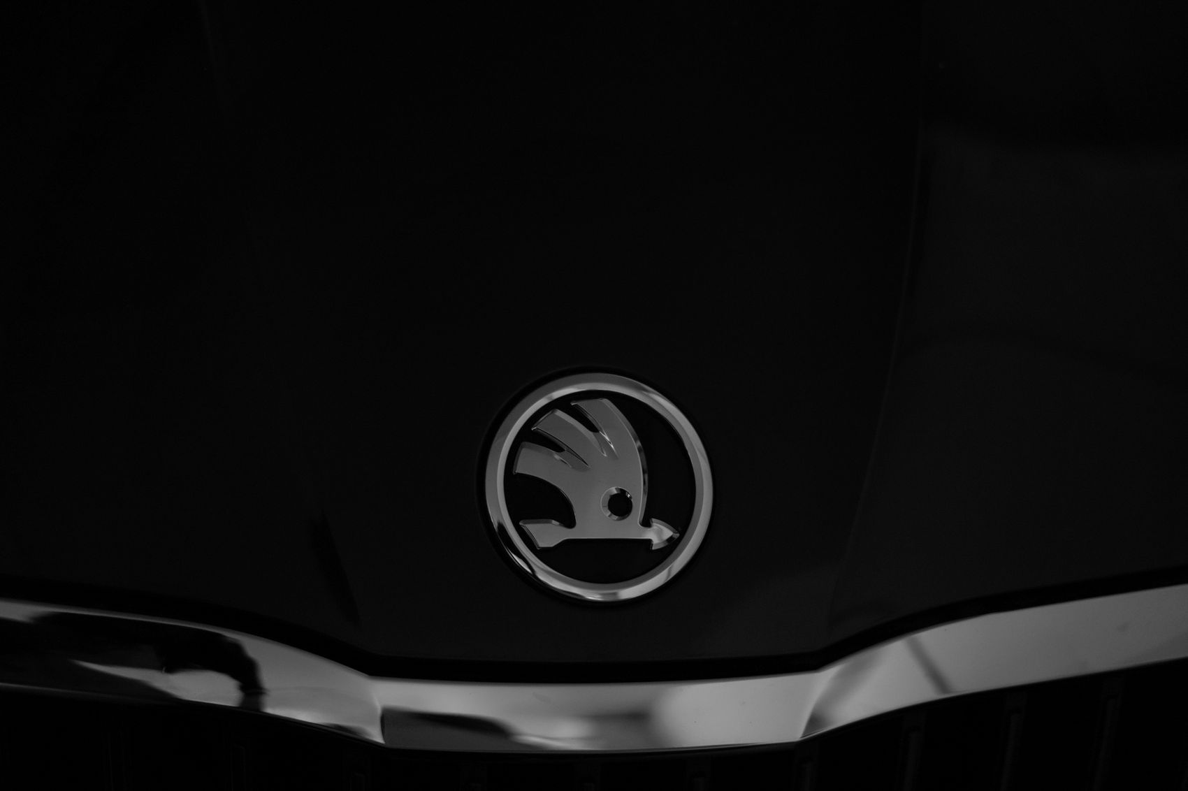 Skoda badge